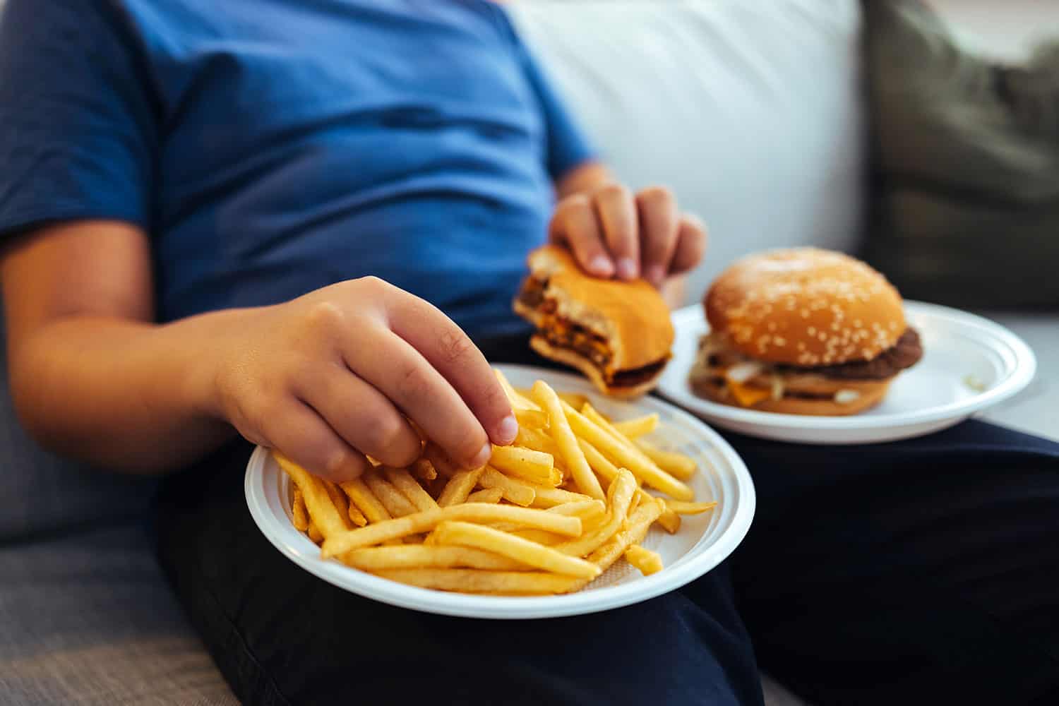 photo of middle section of a boy in a blue t-shirt sitting on a sofa with a plate of chips balance on one leg and a plate with a burger on the other
