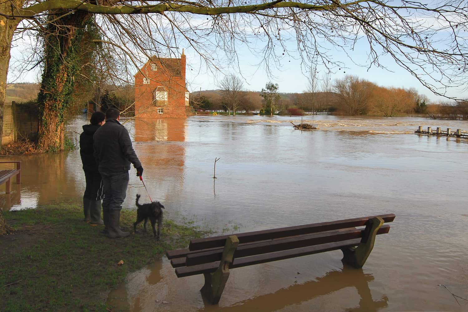 two men in wellies and coats with a dog on a small patch of grass on the bank of a flooded river, looking across to a flooded house on the other bank