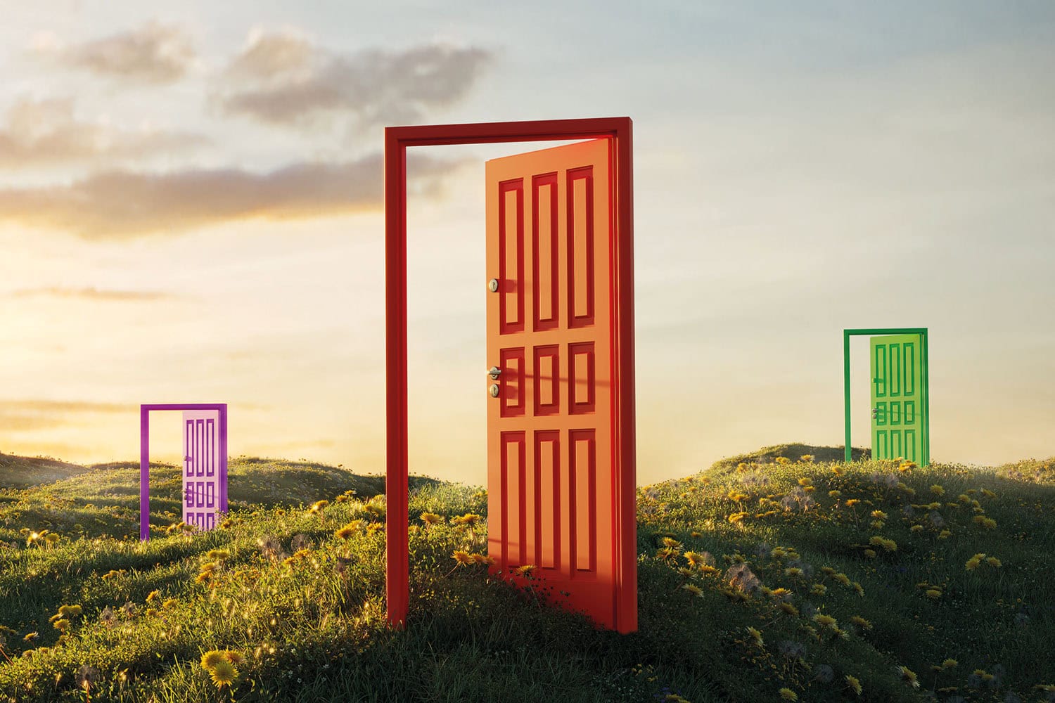 graphic of purple and orange doors in stand-alone doorframes, spread across a green hillside